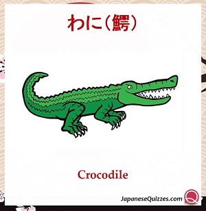 Animals in Japanese [Flashcards]